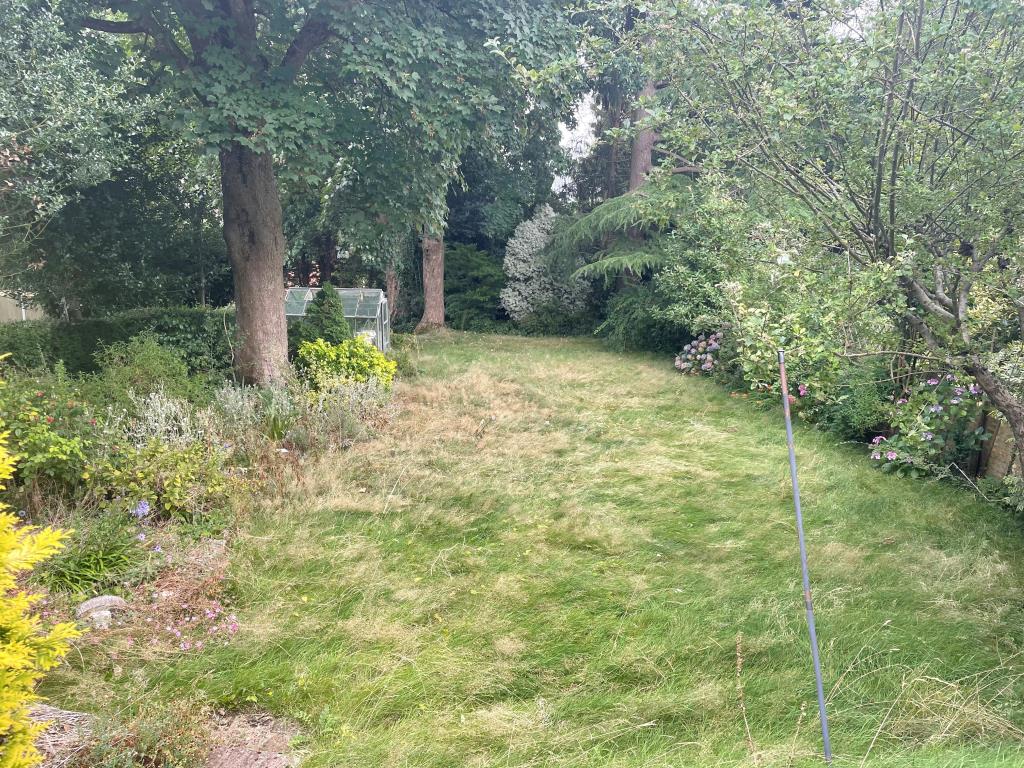 Lot: 28 - DETACHED HOUSE AND LARGE GARDEN WITH POTENTIAL - Rear garden with lawn and mature trees